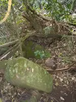 Corte na Pedra 4.webp