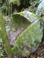 Pedra Trono 2.webp