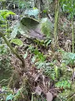 Pedra Trono 5.webp
