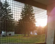20200807_195328.webp