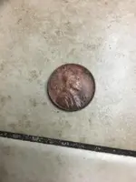 Wheatie front.webp