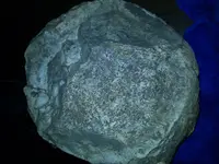 15913321101414799830581688642684.webp