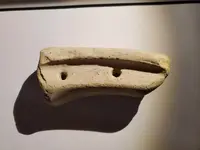bone 4.webp