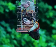 K1024_DSCN9181_InPixio.webp