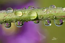 2020-05-7777777REFRA.webp