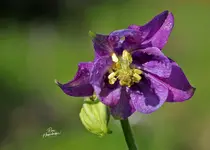 2020-05-7777777REFRA22.webp