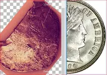 barber dime compare.webp