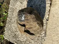 rock 2.webp