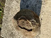 rock 3.webp