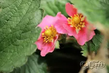 IMG_2832_2400.webp