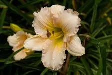 IMG_2511_1.webp IMG_2511_1.webp