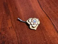 ImageUploadedByTreasureNet.com1593566464.855610.webp