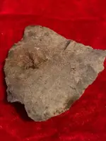 ImageUploadedByTreasureNet.com1597882098.844656.webp