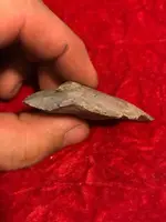 ImageUploadedByTreasureNet.com1597882146.354289.webp