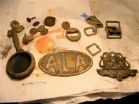 ala1.webp