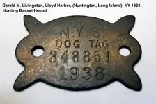 dogtag1.webp