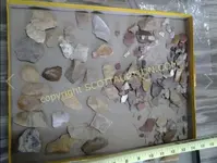 ImageUploadedByTreasureNet.com1596944196.372256.webp ImageUploadedByTreasureNet.com1596944196.372256.webp