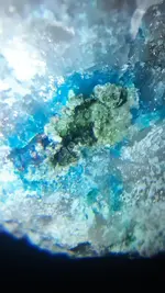 20200715_065741.webp