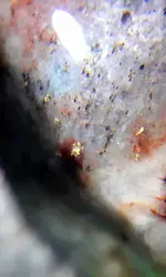20200809_053526.webp