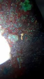 20200809_055851.webp