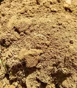 Copper in dirt.webp Copper in dirt.webp