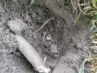 Merc in hole.webp