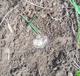 Quarter in hole.webp