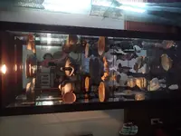 0604201505.webp