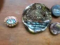 pin1.webp