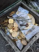 forest fenn treasure.webp