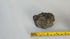 DSCF4905.webp
