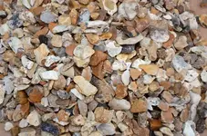 Dorset Flint.webp Dorset Flint.webp
