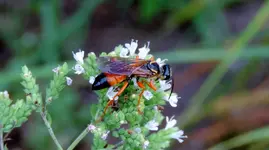 DSCN9605.webp