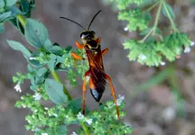 DSCN9613.webp