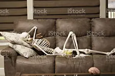 skeleton.webp