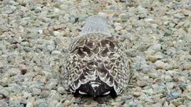 K1024_DSCN9956.webp