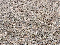 K1024_DSCN9913_InPixio.webp