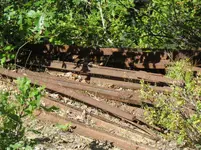 IMG_5138 (2).webp