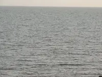 DSCN4044.webp
