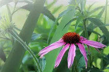 IMG_2146_2400.webp