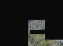 Aztec Rhoda 2.webp