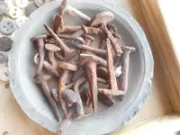 DSCN3194.webp
