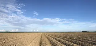 Netherlands Pano.webp Netherlands Pano.webp