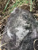 117870951_1212201272511823_6065311626381551680_n.webp