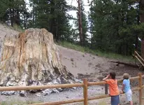 florissant_fossil_beds_(8)__medium.webp