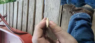 20200716_165148.webp