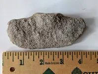 IMAG0183 (2).webp