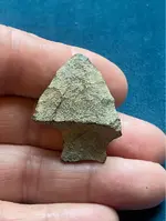 ImageUploadedByTreasureNet.com1593786764.579259.webp
