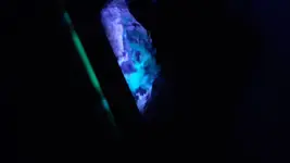 20200703_082113.webp
