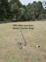 Finds 8-8-20 023.webp